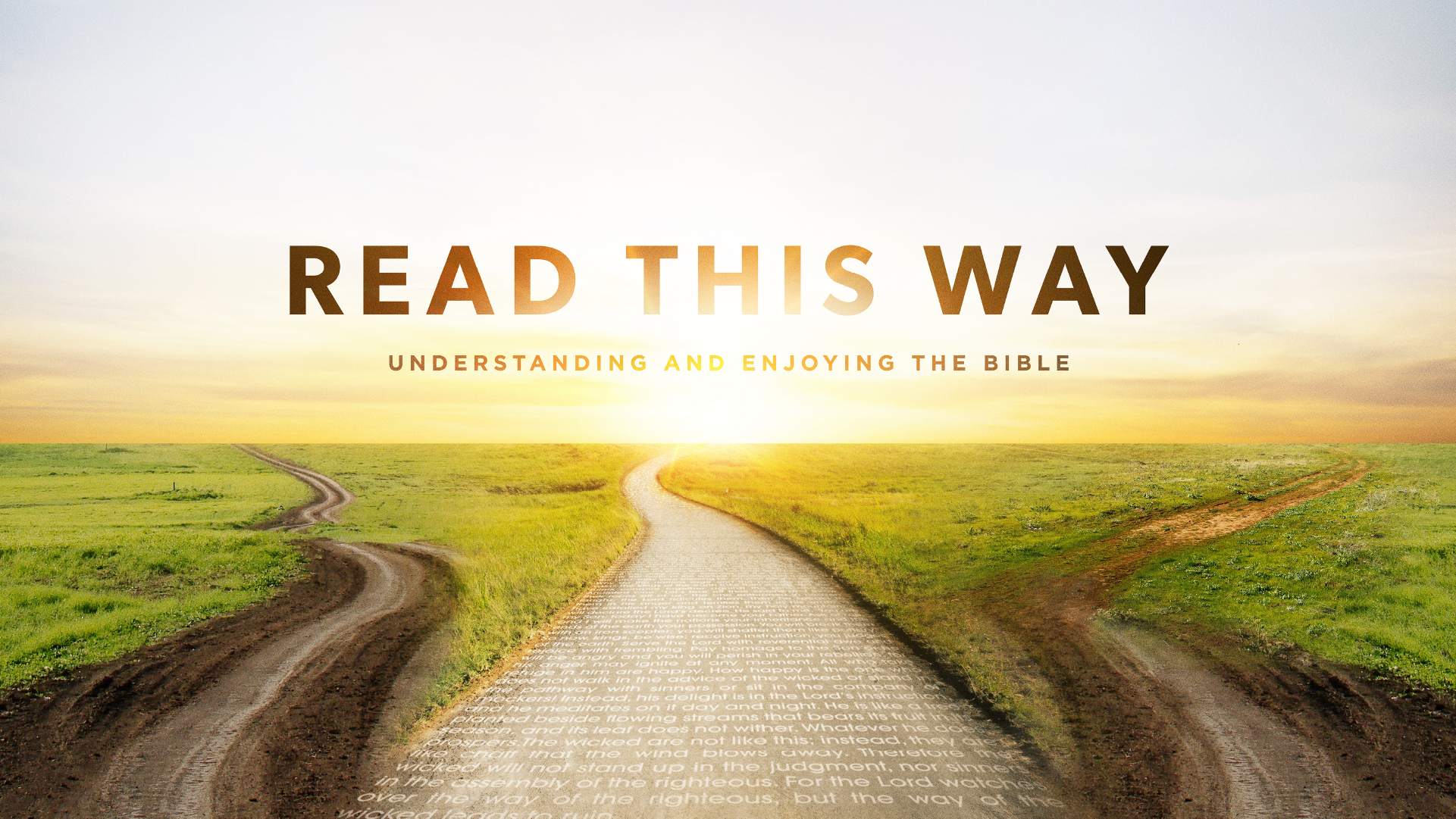 Read with Defiance and Delight